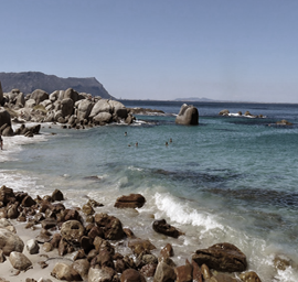 Beach_view